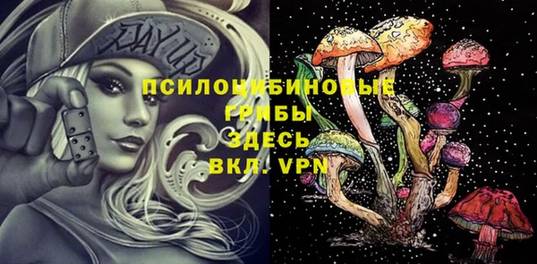 spice Вяземский