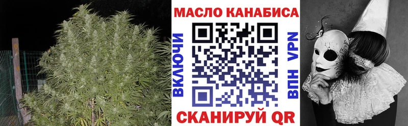 Дистиллят ТГК THC oil  Купить где  Сунжа 