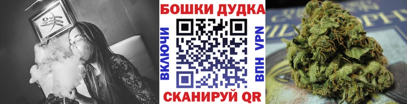 Купить Сунжа Конопля сатива
